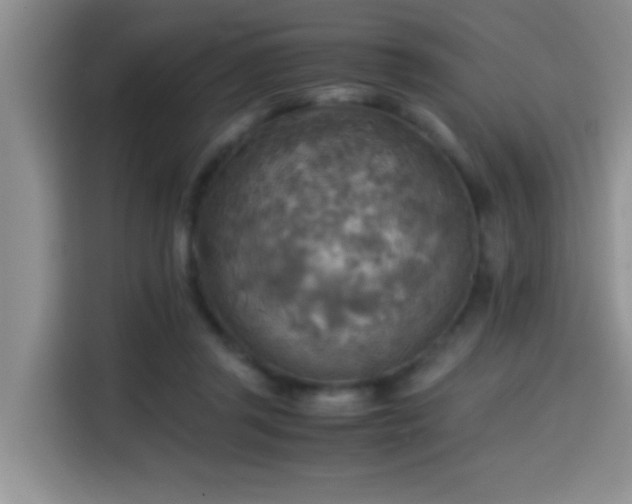 X0000114560357200910191436