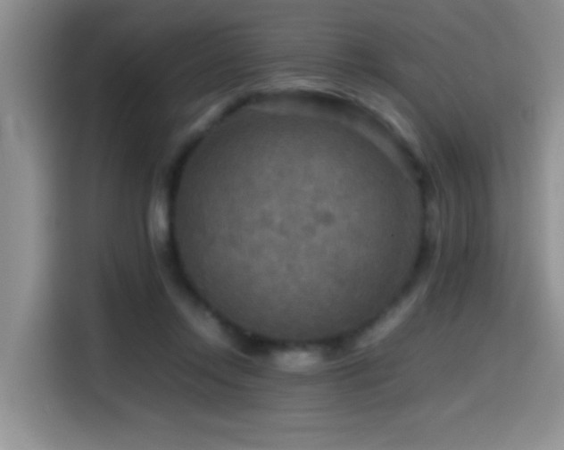 X0000114560358200910191436