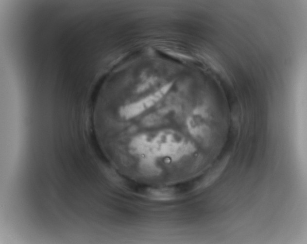 X0000114560359200910191436