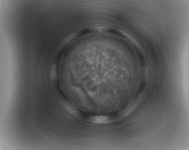 X0000114560361200910191436