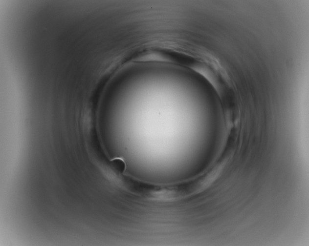 X0000114560362200910191436