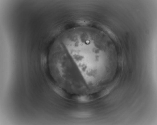 X0000114560365200910191436