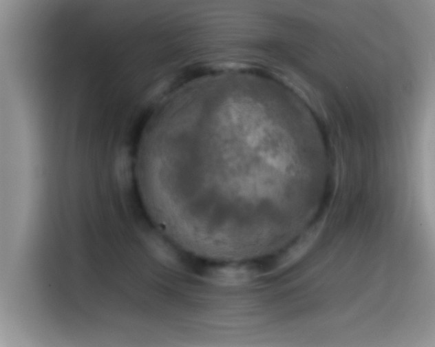 X0000114560366200910191436
