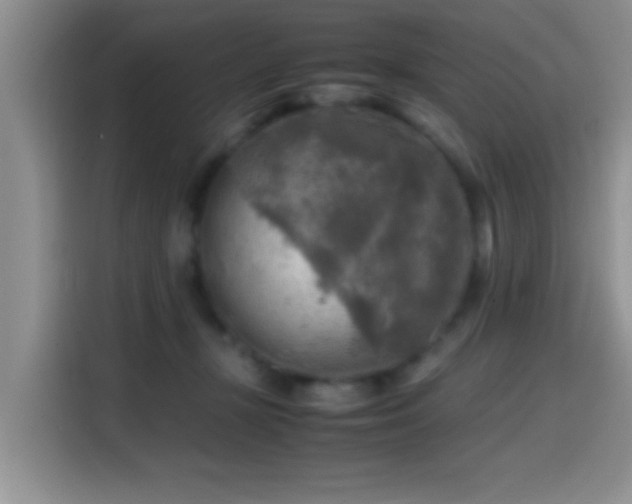 X0000114560367200910191436