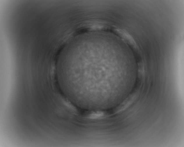 X0000114560369200910191436