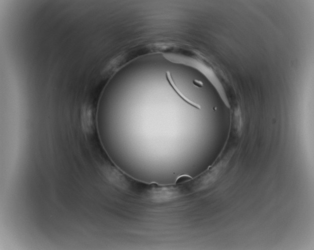 X0000114560378200910191436