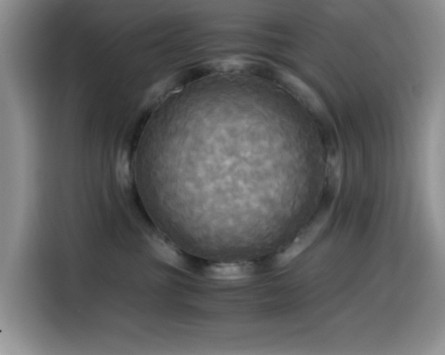 X0000114560381200910191436