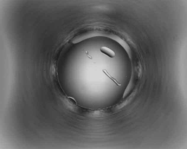 X0000114560382200910191436