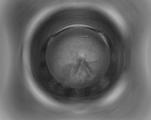 X0000114560383200910191436