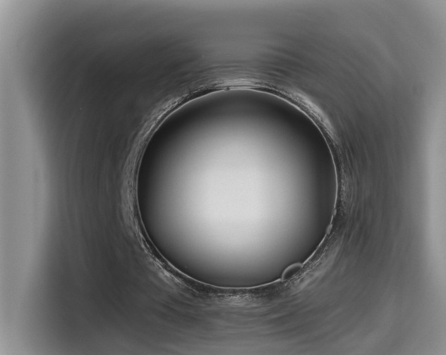 X0000114560385200910191436