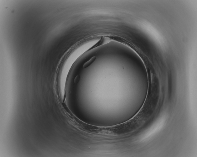 X0000114560387200910191436