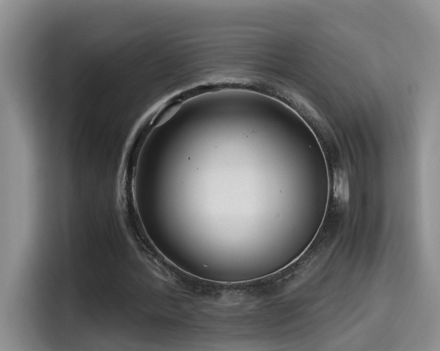 X0000114560388200910191436