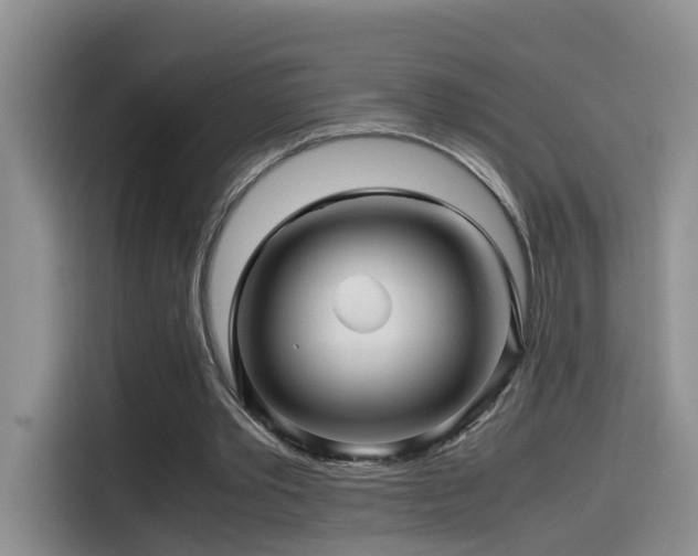 X0000114560389200910191436