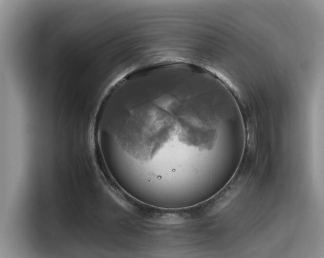 X0000114560390200910191436