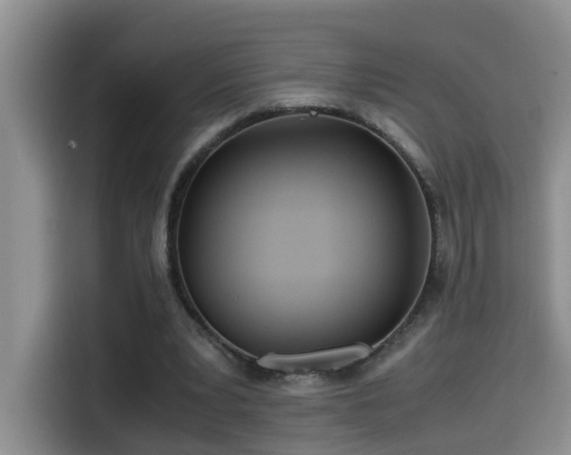 X0000114560391200910191436