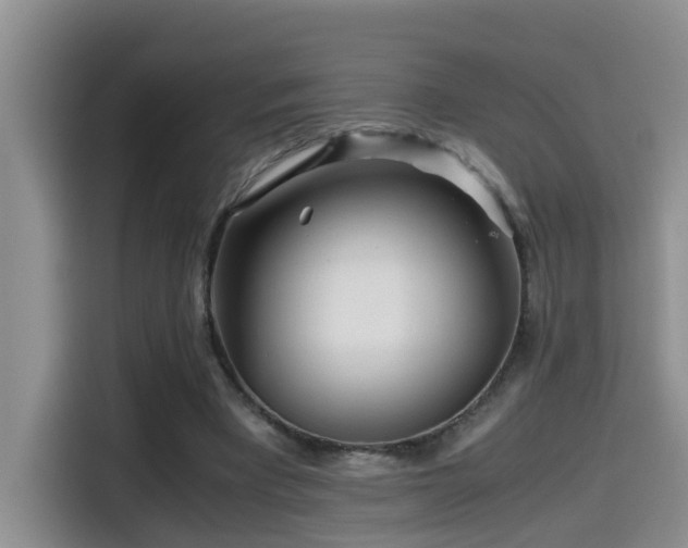 X0000114560393200910191436