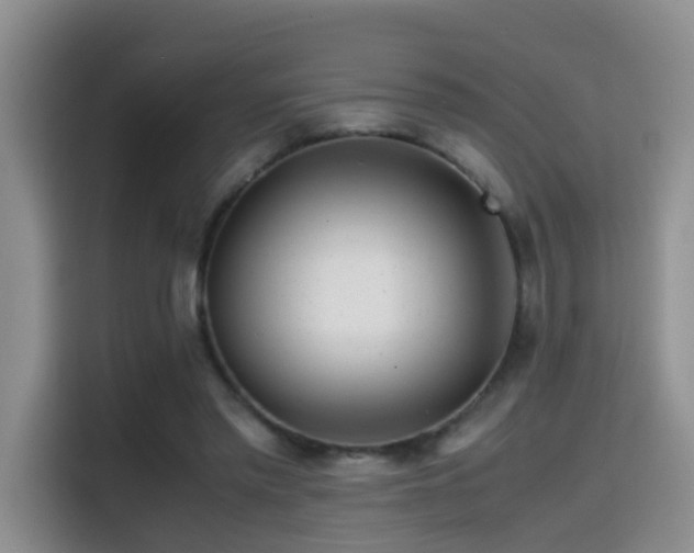 X0000114560397200910191435