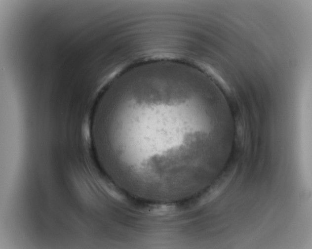 X0000114560398200910191435