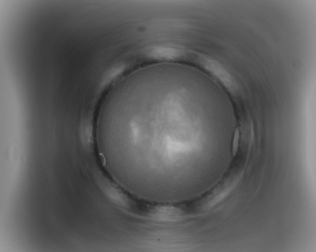 X0000114560399200910191435