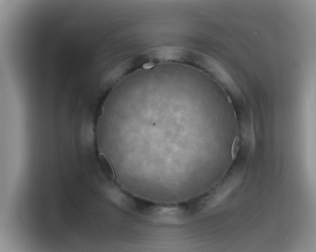 X0000114560401200910191435