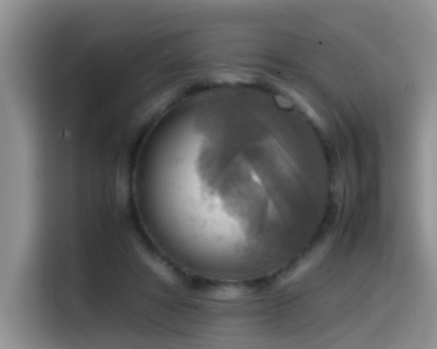X0000114560402200910191435