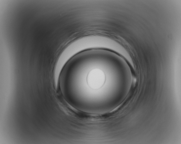 X0000114560405200910191435