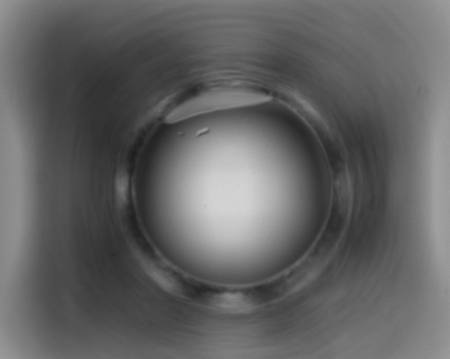 X0000114560406200910191435