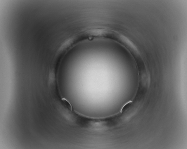 X0000114560407200910191435