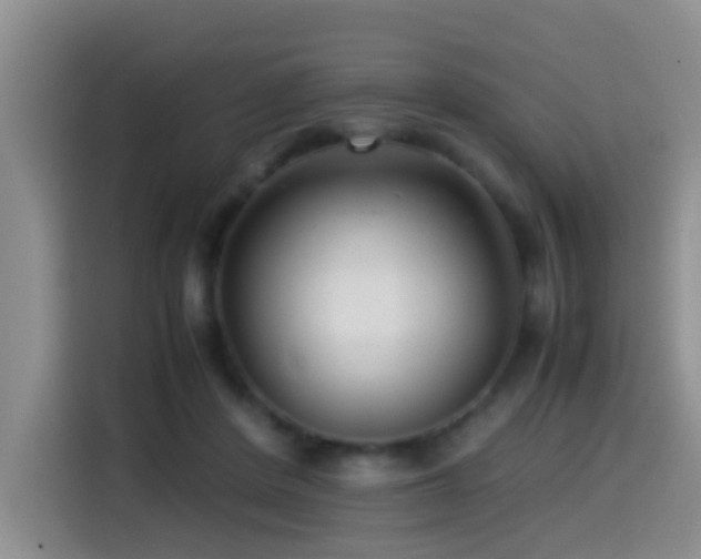 X0000114560408200910191435