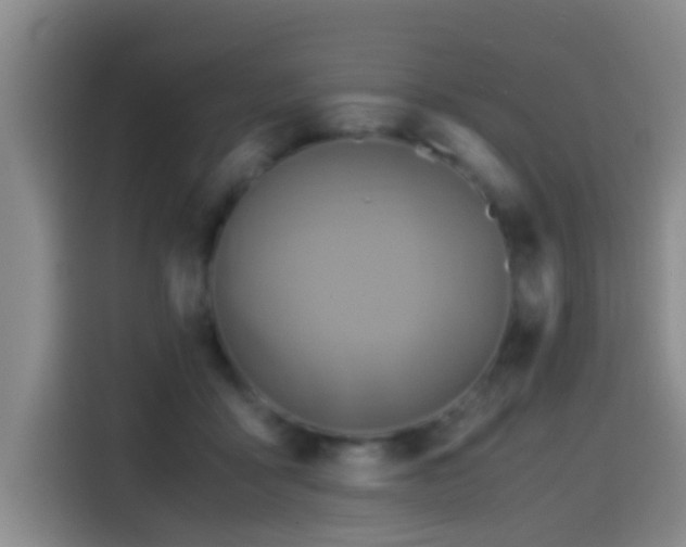 X0000114560411200910191435