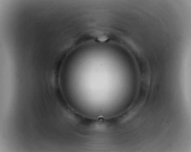 X0000114560416200910191435