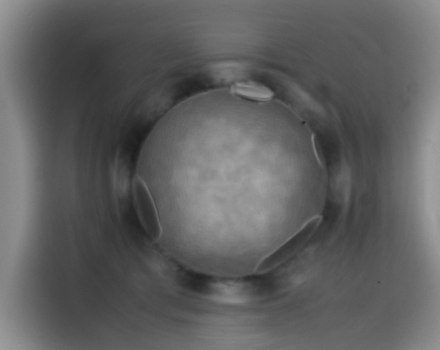 X0000114560417200910191435