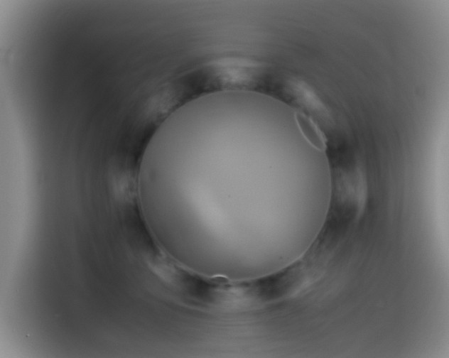 X0000114560419200910191435