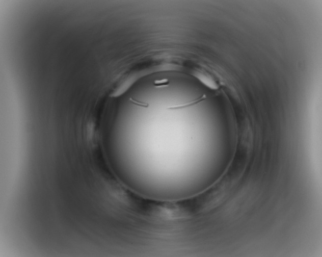X0000114560420200910191435