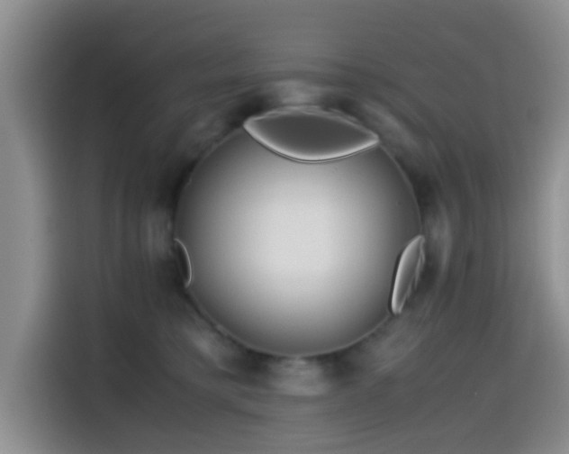 X0000114560421200910191435