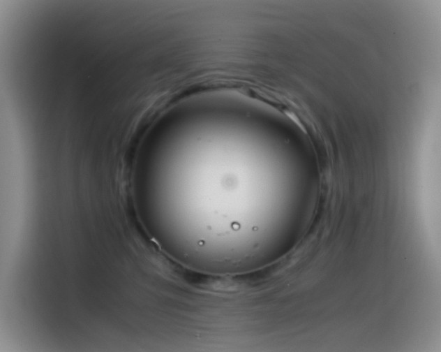 X0000114560423200910191435