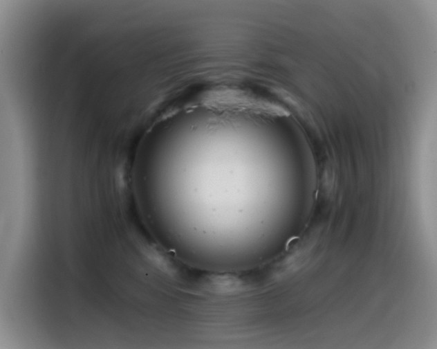 X0000114560424200910191435