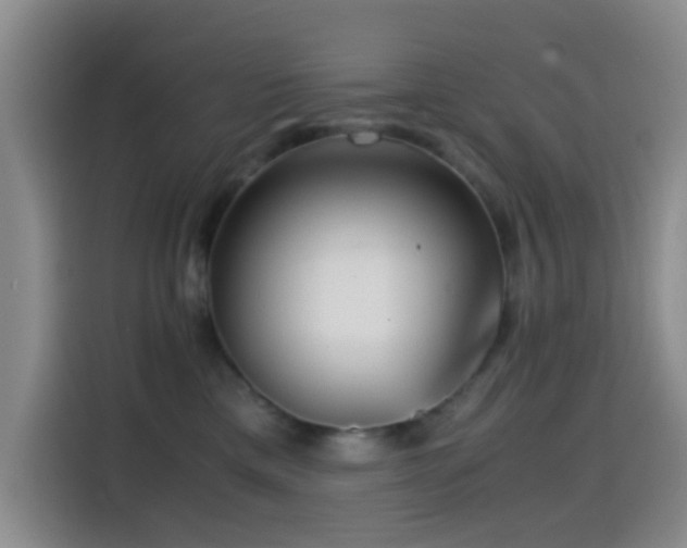 X0000114560425200910191435