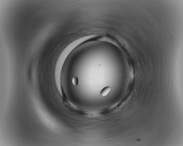 X0000114560429200910191435