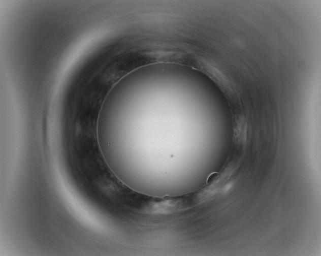 X0000114560430200910191435