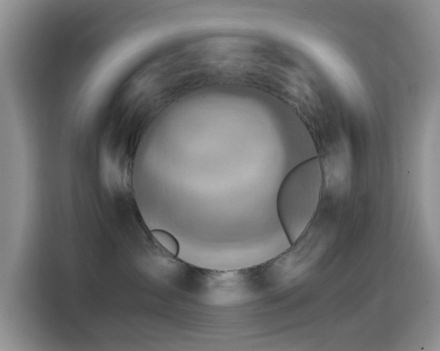 X0000114560431200910191435
