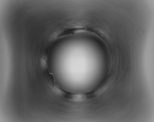 X0000114560432200910191435