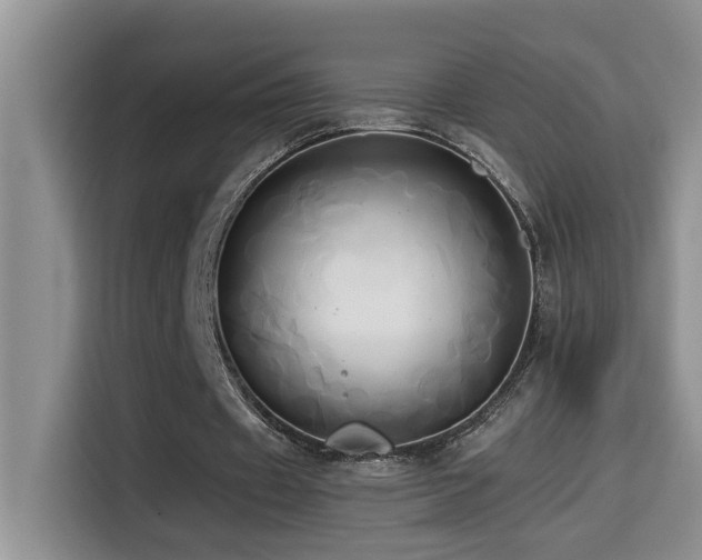 X0000114560433200910191434