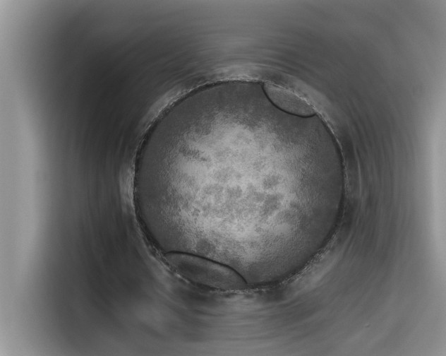 X0000114560434200910191434