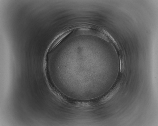 X0000114560435200910191434