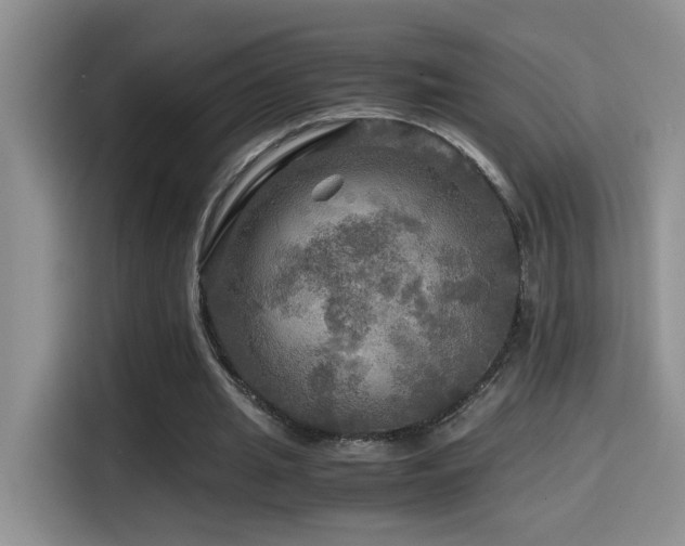 X0000114560437200910191434