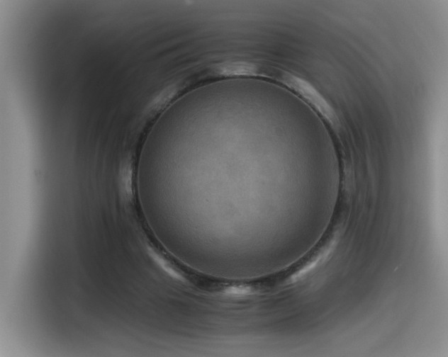 X0000114560441200910191434