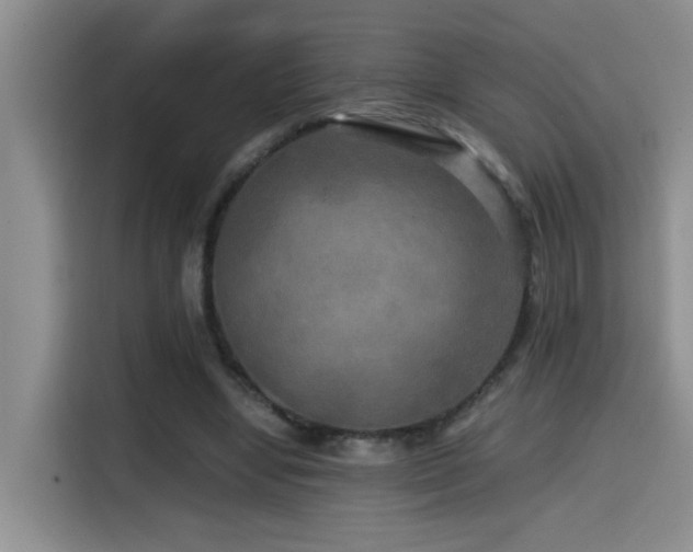 X0000114560442200910191434