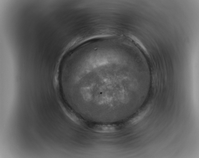 X0000114560443200910191435