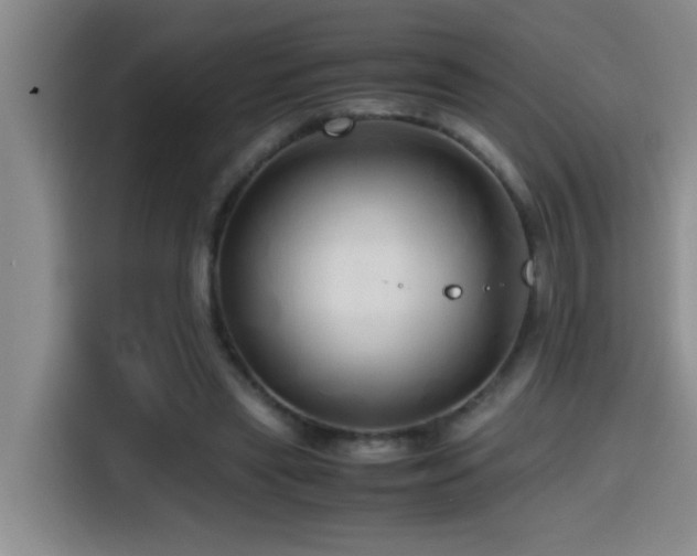 X0000114560445200910191435